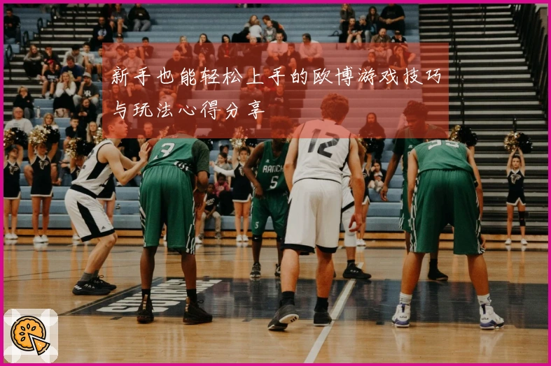 新手也能轻松上手的欧博游戏技巧与玩法心得分享