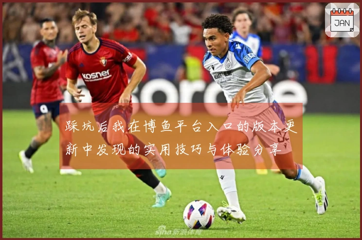 踩坑后我在博鱼平台入口的版本更新中发现的实用技巧与体验分享